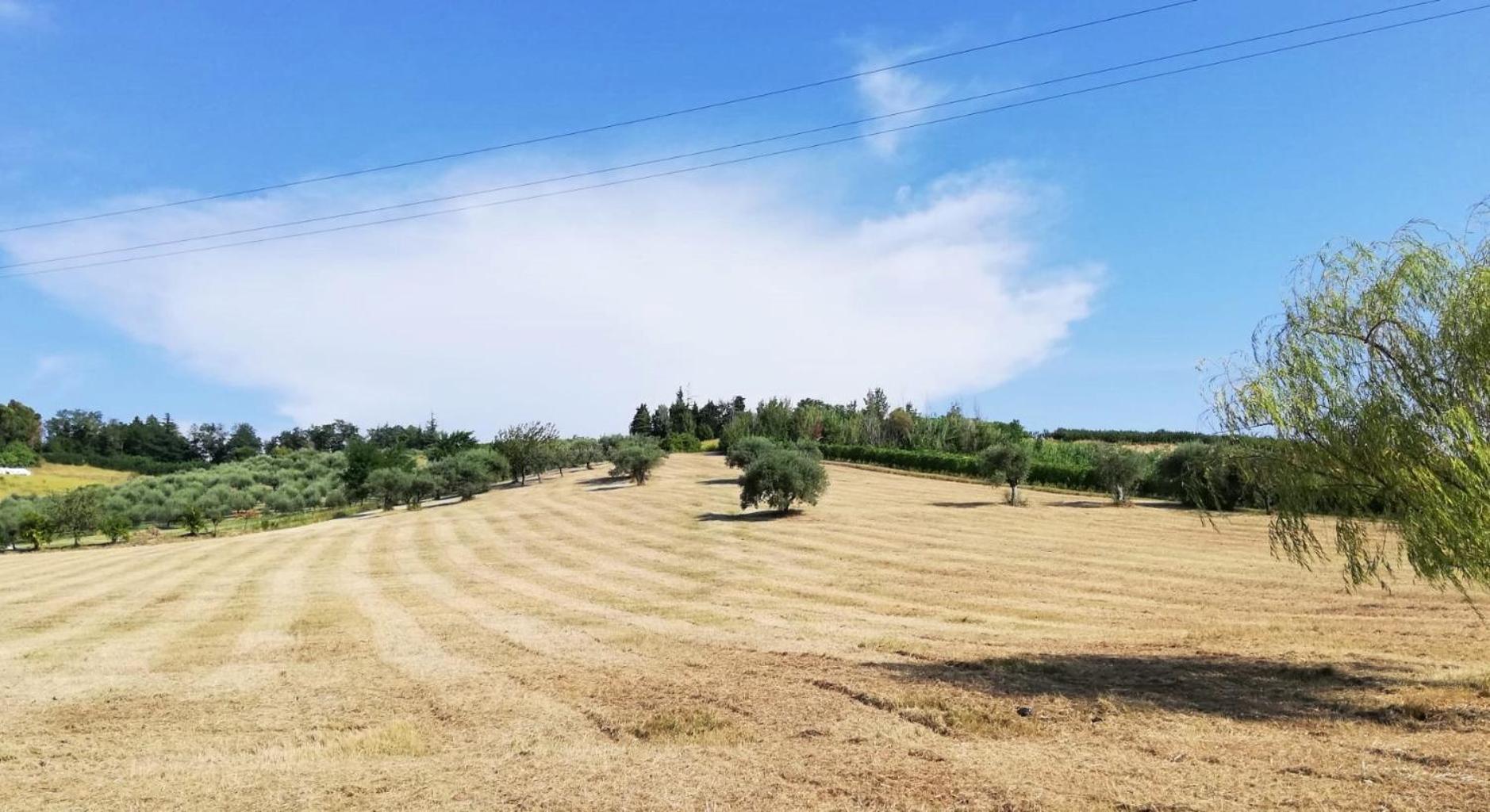 Colle Gelso Vendégház Cesena Kültér fotó